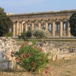 Chrámy Paestum Co vidět, kam navštívit