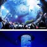Самый лучший аквапарк в мире