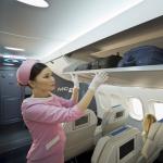 Nošenje ručne prtljage na S7 airlines - pravila i propisi Koliko košta kupnja dodatne prtljage na S7