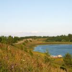 The Pechersky forest park in Mogilev can be cut down for a hotel and a football arena (many photos) Mogilev region,